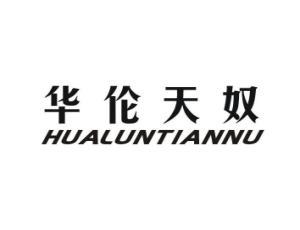 品牌翻译对基础软件服务企业利益的影响探究